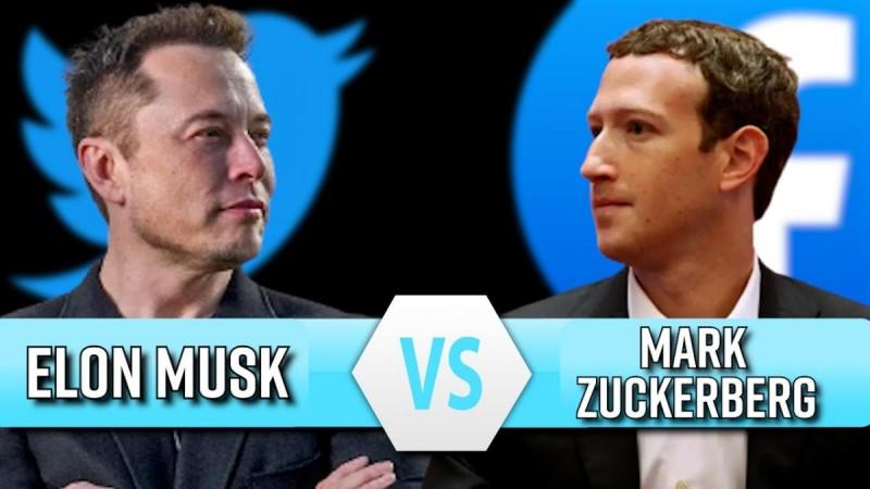 send me location zuckerberg agrees musks cage fight challenge BUSINESS News for MILLENIALAIRES