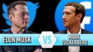 Musk Zuckerberg Cage Fight cancelled Tesla CEO s Mother Gets Final Say details IBTimes India