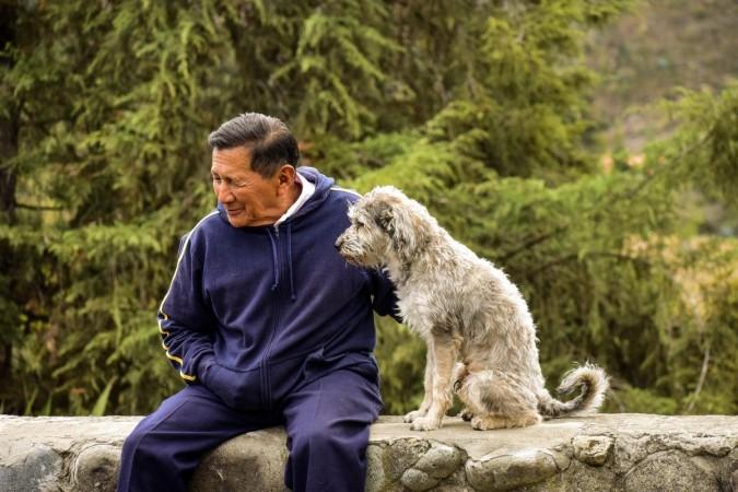 An old man and dog (Representational Picture) Dog and man