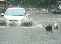 Delhi Records Highest-Ever Downpour In A Day In 20 Years
