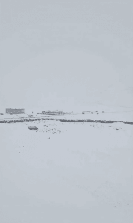 Ladakh snowfall