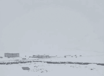 Ladakh snowfall