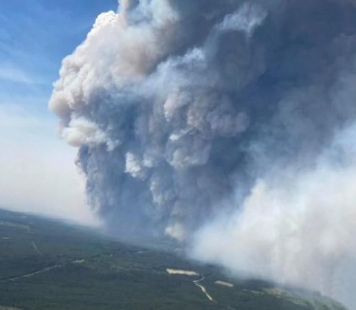 wildfire wildfire