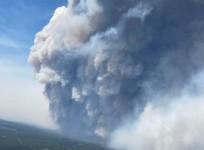 wildfire