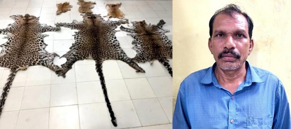 Odisha Police Seizes Leopard, Deer Skins Odisha Police Seizes Leopard, Deer Skins