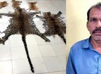 Odisha Police Seizes Leopard, Deer Skins
