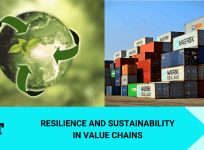Resilience and Sustainability in Value Chains