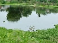 farm ponds