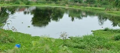 Tirupattur District To Construct 1,400 Ponds For Water Table Recharging farm ponds