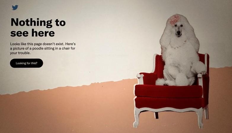 Twitter Fails To Publish Monthly India Compliance Report, Shows Poodle Sitting In A Chair