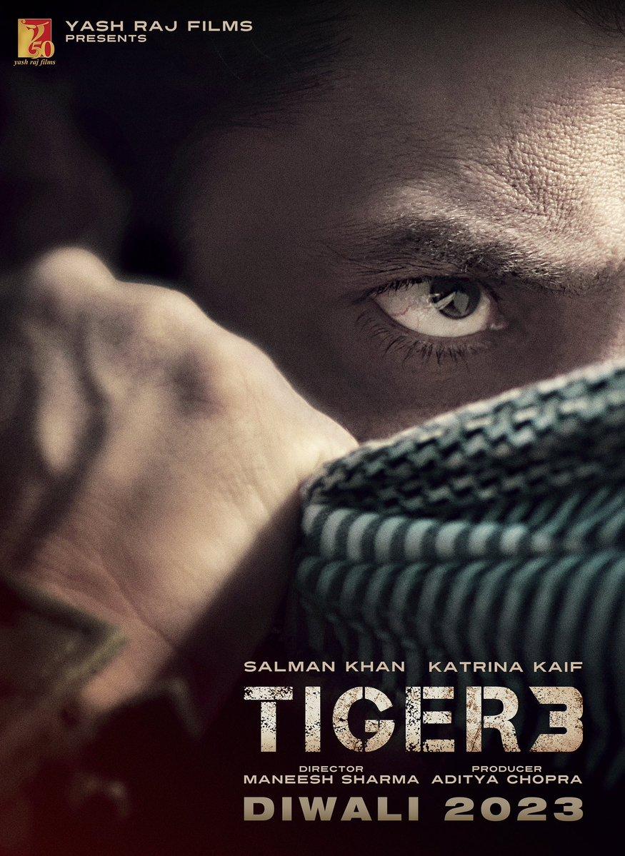 Salman Khan says Tiger can take on an army of people with his bare ...