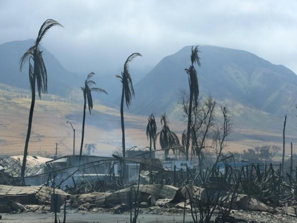 Hawaii Maui Wildfire Deadliest In Century As Toll Nears 100 hawaii wildfires