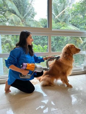 How to take care of your dogs in rainy season; experts tips for pet parents [details]