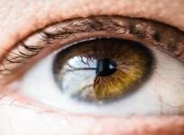 Stem cell therapy can help restore vision after eye injury