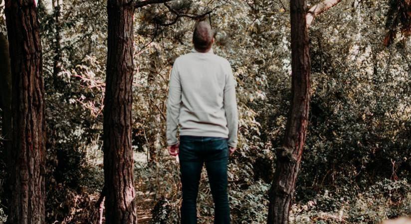 The Impact Of Naturopathy On Mental Health The Impact Of Naturopathy On Mental Health