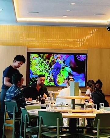 Ranbir and Alia