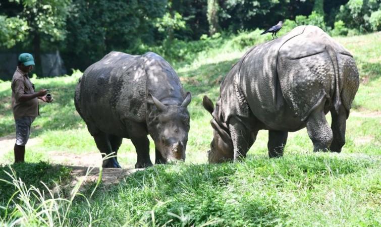Suspected rhino poachers were identified as Nur Hussain, Abul Hussain, Jaffar Ali and Nur Islam rhinos