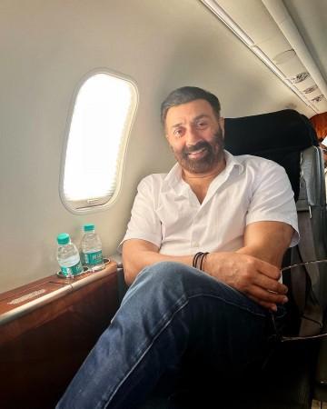 sunny deol