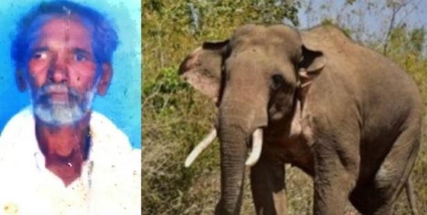 K'taka Farmer Killed In Wild Elephant Attack, Villagers Protest Against Forest Dept K'taka Farmer Killed In Wild Elephant Attack, Villagers Protest Against Forest Dept