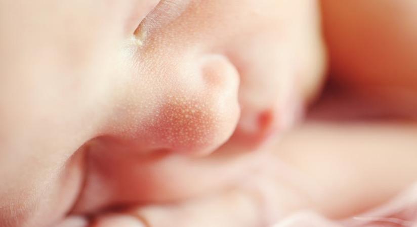 Probiotic products can be dangerous for preterm babies Probiotic products can be dangerous for preterm babies