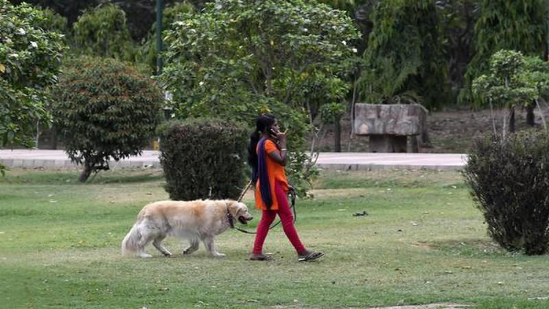 Woman Sets Dog On Another Woman Who Objected To Pet Defecating In Park Woman Sets Dog On Another Woman Who Objected To Pet Defecating In Park