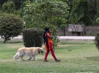 Woman Sets Dog On Another Woman Who Objected To Pet Defecating In Park