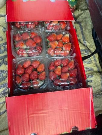 Strawberry Strawberry