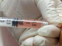 Stem cells therapy show promise to treat, reverse osteoarthritis
