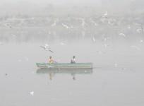 New Delhi: Smoky Haze Engulfs The Yamuna River