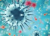 Monitoring outbreak of H9N2 cases in China, India prepared for any health exigency: Health Ministry