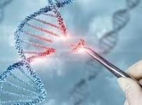 2 US Girls Become World's First To Get Gene Therapy For Genetic Brain Disorder