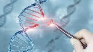 Motor delay, low muscle tone signs for genetic testing in kids 2 US Girls Become World's First To Get Gene Therapy For Genetic Brain Disorder