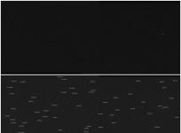 NASA's Psyche Asteroid Mission Delivers 1st Images, Other Data