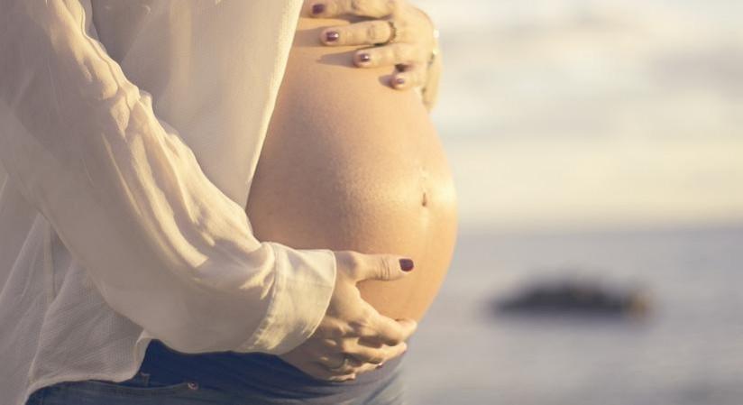 pregnancy pregnancy