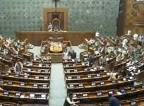 Two Protesters Carrying Colour Smoke Flare Detained Outside Parliament