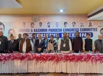 Congress meeting
