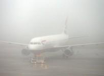 delhi fog