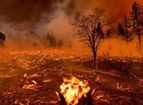 Climate change may claim 14.5 mn lives by 2050: WEF