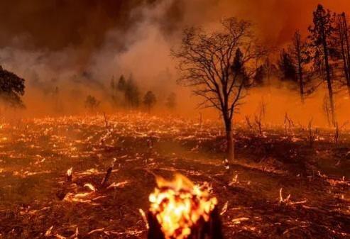 Climate change may claim 14.5 mn lives by 2050: WEF Climate change may claim 14.5 mn lives by 2050: WEF