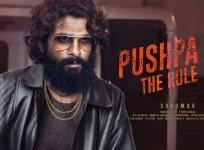 pushpa 2