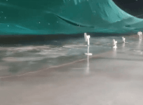 Ice Hockey