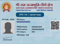 Digital entry pass