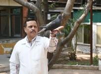 'Chinese Spy' Pigeon Released From Mumbai 'Jail' After PETA Intervention