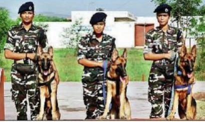 In a first, SSB appointed three women handlers for dog squads In a first, SSB appointed three women handlers for dog squads