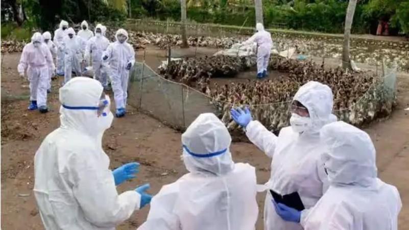 Fukui Prefecture reported the highest regional average at 8.83 cases per medical institution Japan Culls 14,000 Birds After Avian Flu Outbreak