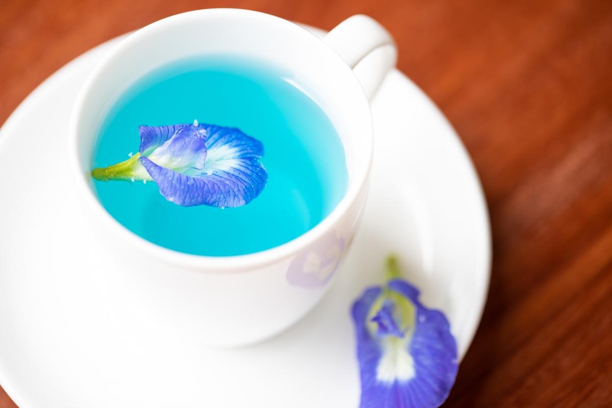 Kalari Rasayana review: A sanctuary for holistic wellness