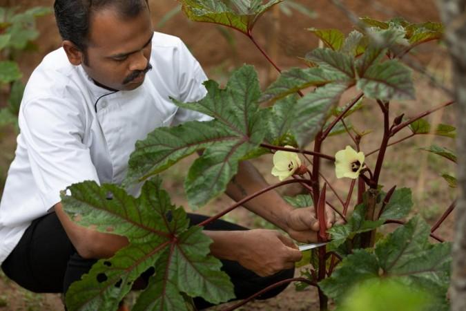 Kalari Rasayana review: A sanctuary for holistic wellness Kalari Rasayana review: A sanctuary for holistic wellness