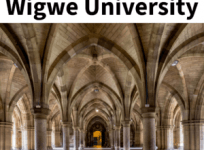 Wigwe University
