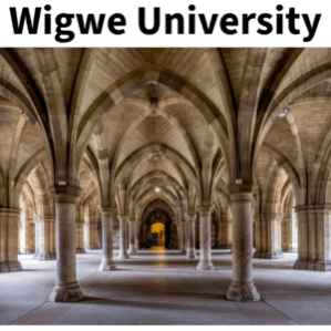 Wigwe University