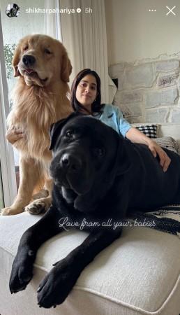 Shikhar wishes Janhvi Kapoor Shikhar wishes Janhvi Kapoor